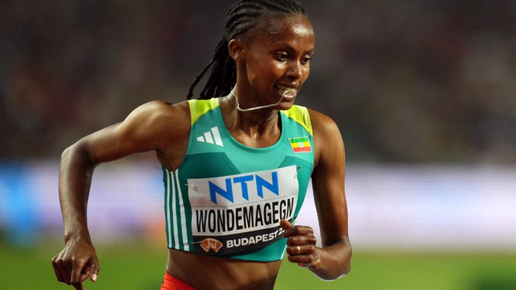 Ethiopian distance runner and Olympic finalist Zerfe Wondemagegn banned 5 years for doping.