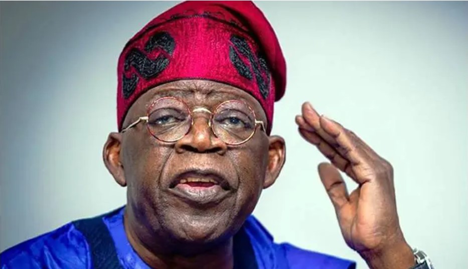 Tinubu decries stereotyping of Nigerians as cybercriminals.
