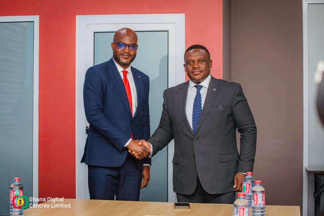 Dzifa Gunu takes over Ghana Digital Centres as CEO