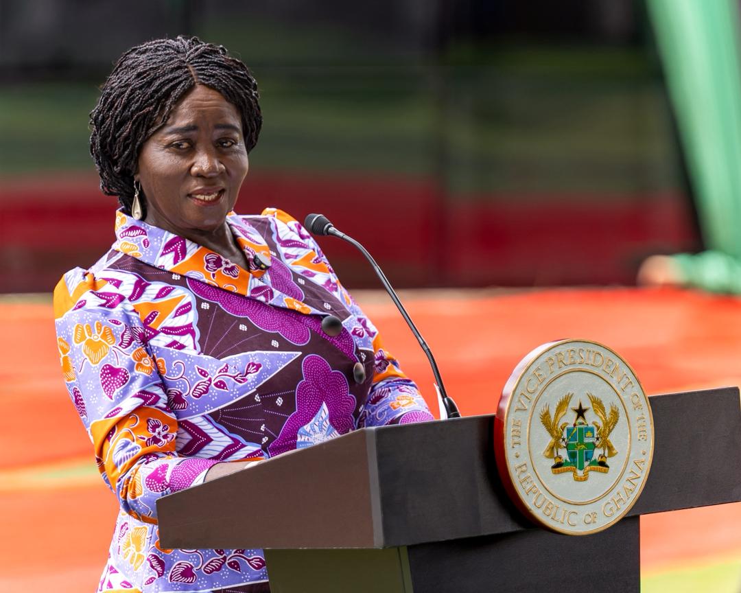 Stronger public–private partnerships will improve and expand access to mental health services – Veep